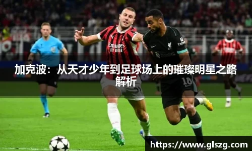 金年会官网