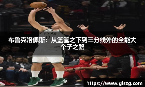 布鲁克洛佩斯：从篮筐之下到三分线外的全能大个子之路